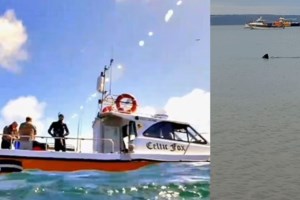 Οικογενειακές διακοπές εξελίχθηκαν σε τραγωδία: Λευκός καρχαρίας κατασπάραξε 39χρονη στη Νότια Αφρική - εικόνα 4