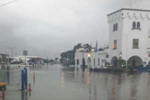 Ερχονται οι Αλκυονίδες με ζέστη και ηλιοφάνεια- Μετά τις 10 Φεβρουαρίου όμως, ξανά χιόνια... - εικόνα 3