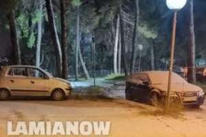 Πτώσεις δένδρων, εγκλωβισμένα αυτοκίνητα και πολλές διακοπές ρεύματος στα νότια προάστια - εικόνα 2