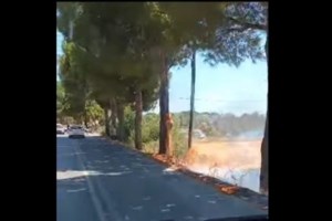 Νέα φωτιά στη Λέσβο: Μέτωπο πάνω από τη Μονή Λειμώνος - Επιχειρούν ισχυρές δυνάμεις της Πυροσβεστικής - εικόνα 2