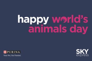 Sky express: Ενημέρωση των επιβατών για το πτητικό πρόγραμμα την 1/10/2025