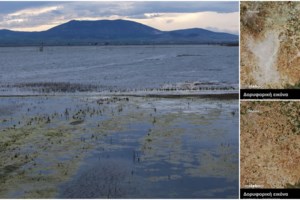 Κακοκαιρία ΑΤΕΝΑ: Αναβαθμίζεται το Έκτακτο Δελτίο για επικίνδυνα φαινόμενα - Ερχονται καταιγίδες, κεραυνοί και χαλάζι - εικόνα 5