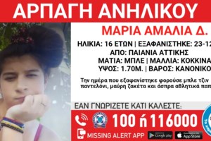 Γλυφάδα - Απόπειρα αρπαγής ανηλίκου: Ο δράστης είπε στο παιδί ότι η μητέρα του χτύπησε και θα το επέστρεφε εκείνος σπίτι - εικόνα 3