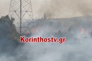 Ωρωπός: Φωτιά στον οικισμό Μετέωρα - Πού έχει διακοπεί η κυκλοφορία