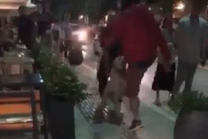 Καλαμάτα: Επίθεση σκύλων σε 34χρονη μητέρα - Σοκαριστικές φωτογραφίες από τα τραύματα