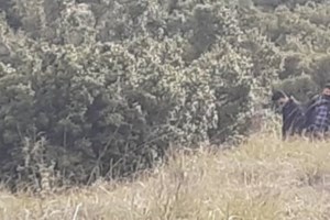 Έγκλημα στα Βίλια: Τι ποσά έπαιζε στο blackjack η κινέζα; Πού στρέφεται η έρευνα της αστυνομίας