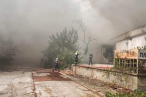 Φωτιά στη Θεσσαλονίκη: Στην περιοχή Καλαμωτό Λαγκαδά - Επιτόπου επίγειες και εναέριες δυνάμεις - εικόνα 2