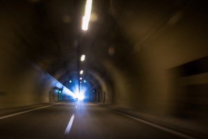 Καστοριά: Ακόμη ένα θύμα τροχαίου αρκούδα, τουλάχιστον 300 κιλών - Εκκληση σε οδηγούς που περνούν από φυσικούς βιοτόπους - εικόνα 4