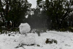 Ποια ακτοπλοϊκά δρομολόγια δεν θα πραγματοποιηθούν λόγω ισχυρών ανέμων