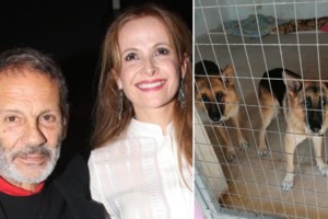 Σταύρος Ξαρχάκος: Οργισμένη η Ηρώ Σαΐα - Το έγγραφο που αποδεικνύει τη σύντομη διαμονή των σκυλιών τους στο καταφύγιο