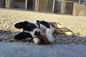 Για Σαββατοκύριακα, γιορτές, αργίες, ημέρες κοπάνας από τη δουλειά αλλά και για κάθε μέρα συστήνουμε ανεπιφύλακτα την Κλεοπάτρα - εικόνα 4