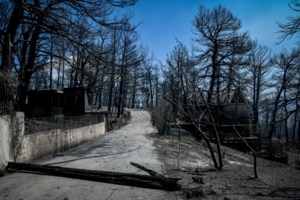 Εκτίμηση σοκ του Αστεροσκοπείου: Η πυρκαγιά έκαψε το ένα τρίτο των δασών της Εύβοιας