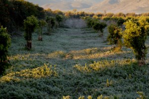 Νέο κύμα κακοκαιρίας τις επόμενες ώρες: Ισχυρές καταιγίδες και κρύο - εικόνα 2