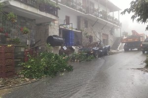 Θρίλερ στην Κέρκυρα: Tα πουλιά "προσγείωσαν" στο αεροδρόμιο αεροπλάνο με προορισμό το Ντίσελντορφ