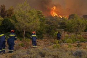 Φωτιά στον Έβρο: Γιγαντώνεται το πύρινο μέτωπο και φτάνει τα χωριά Γιαννούλη και Σιδηρώ - Μήνυμα του 112 για το Σουφλί - εικόνα 2