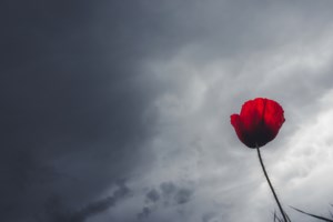 Καιρός: Έρχονται βροχές και καταιγίδες από σήμερα – Πώς θα κάνουμε Ανάσταση και Κυριακή του Πάσχα - εικόνα 2