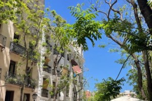 Πανικός στην Κούβα: Ισχυρή έκρηξη σε ξενοδοχείο της Αβάνας, τουλάχιστον 8 νεκροί - Οι πρώτες εικόνες - εικόνα 3