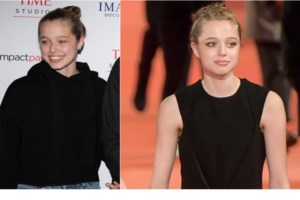 Ένα αστέρι γεννιέται: Καριέρα μοντέλου για τη Σάιλο Τζολί Πιτ - Αντιδρά η μητέρα της - εικόνα 4