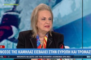 Σαρώνουν γρίπη και λοιμώξεις του αναπνευστικού τις τελευταίες 5 εβδομάδες - Πώς θα προστατευτούμε για το γιορτινό τραπέζι