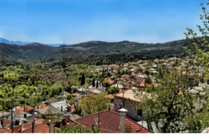 Θεσσαλονίκη: Από θύματα ηλεκτρονικής απάτης, κατηγορούμενοι για "ξέπλυμα" βρώμικου χρήματος στη Γερμανία