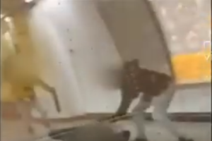 Ξυλοδαρμός σταθμάρχη στο μετρό: Στη δημοσιότητα οι φωτογραφίες των δύο δραστών της επίθεσης - εικόνα 3