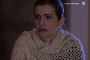 Άγριες Μέλισσες: Ποιοι ηθοποιοί δεν θα είναι στον τρίτο κύκλο - Ηχηρές αποχωρήσεις