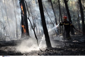 Φωτιά στην Τζια: Ισχυροί άνεμοι στο νησί - Στη μάχη και εναέρια μέσα