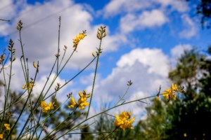 Κυριακή του Πάσχα: Με τι καιρό θα ψήσουμε τον οβελία σε όλη την Ελλάδα - εικόνα 4