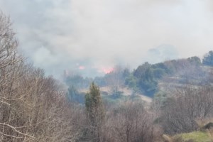 Αντιπυρική περίοδος: "Πέρασε" η μέθοδος αντιπύρ - Μέχρι 30 Απριλίου ο καθαρισμός των οικοπέδων