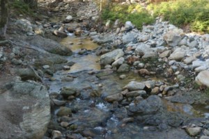 Θρίλερ στον Γοργοπόταμο: Εντοπίστηκε το ζευγάρι από την Ελβετία που εγκλωβίστηκε σε φαράγγι - Προσπαθεί η ΕΜΑΚ να τους προσεγγίσει