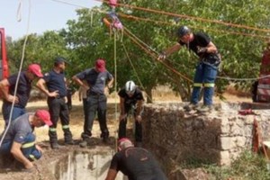 Κεφαλονιά: Αλογο έπεσε σε... πισίνα ξενοδοχείου - Μεγάλη επιχείρηση για να το βγάλουν έξω [εικόνες]