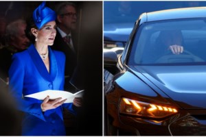 "Φύλλο και φτερό" το ιατρικό ιστορικό της Κέιτ Μίντλετον: Η μεγάλη ουλή στο κεφάλι και η δύσκολη εγκυμοσύνη - εικόνα 2