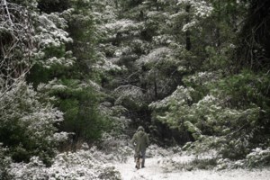 Κλείσιμο Εθνικής - Καταγγελία Πατούλη για την ανάδοχο της Νέας Οδού: Δεν έβγαλαν εγκαίρως τα μηχανήματα
