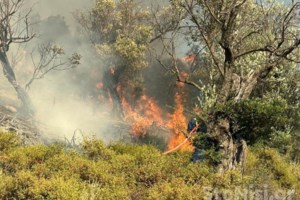 Υπό έλεγχο η φωτιά στη Φανερωμένη στον Ασπρόπυργο - Κινητοποιήθηκαν εναέρια μέσα