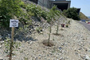 Τραγωδία στα Τέμπη: Στο Ανόβερο ο 20χρονος Γεράσιμος, μοναδικός επιζών του πρώτου βαγονιού - εικόνα 2