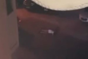 Πολύ υψηλός κίνδυνος πυρκαγιάς σήμερα: Σε επιφυλακή η Πυροσβεστική - "Δεν ανάβουμε φωτιά για κανένα λόγο" - εικόνα 3