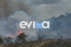 Εύβοια: Οριοθετημένη και χωρίς ενεργό μέτωπο η πυρκαγιά στον Αλμυροπόταμο