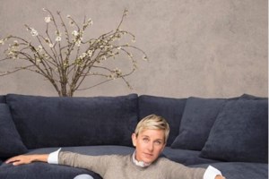 Έλεν Ντε Τζένερις: Πώς γκρεμίστηκε μέσα σε μια νύχτα η εικόνα της βασίλισσας της τηλεόρασης - εικόνα 6