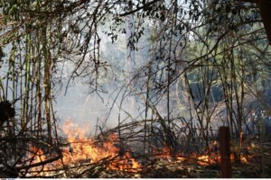 Λασίθι: Σε εξέλιξη μεγάλη φωτιά - Ήχησε το 112 σε δύο περιοχές - Μεγάλη κινητοποίηση της πυροσβεστικής