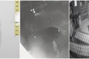 Εξαρθρώθηκε κύκλωμα "πειρατικής" αναμετάδοσης συνδρομητικών καναλιών - Στις 420 χιλ. ευρώ τα παράνομα έσοδα