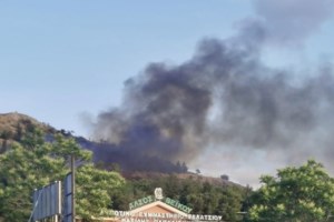 Τρεις ανήλικοι που πετούσαν κροτίδες, προκάλεσαν τη φωτιά στο άλσος Βεΐκου στο Γαλάτσι - εικόνα 4