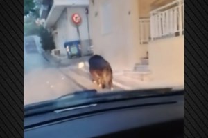 ΕΛΣΤΑΤ: Αύξηση 10,5% για τα τροχαία δυστυχήματα τον Σεπτέμβριο, αλλά λιγότεροι οι νεκροί