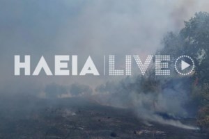 Ηλεία: Πυρκαγιά σε γεωργική έκταση στο Τραγανό Πηνειού - Διακόπτουν την κυκλοφορία στην Ολυμπία Οδό