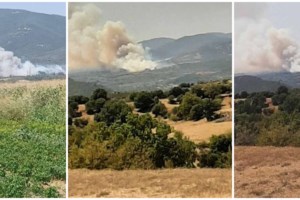 Φωτιές σε Έβρο, Καβάλα, Βοιωτία και Εύβοια: Καίγονται σπίτια στο χωριό Σώστης- Μηνύματα για εκκενώσεις οικισμών