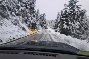 Κακοκαιρία Διομήδης: Ώρες αγωνίας σε Ανωχώρι, Υπέρεια, Πολυνέρι Φαρσάλων - Εκκενώνονται χωριά - εικόνα 4