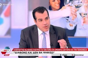 Γκιουλέκας (ΝΔ): "Έχω σοβαρές διαφωνίες για την τεκνοθεσία - Κανείς δεν μιλάει για τα δικαιώματα των παιδιών" - εικόνα 2