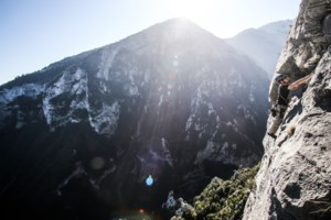 Απίστευτο τροχαίο στο Ηράκλειο: Ασθενοφόρο πήγε να παραλάβει τραυματία και έπεσε σε... ελιά [εικόνες] - εικόνα 2