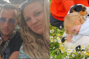 Ζάκυνθος: "Μία δαγκωνιά του έκανε και τον άφησε - Το γνώριζε το σκυλί, το είχε χαϊδέψει, είχαν παίξει" - εικόνα 4