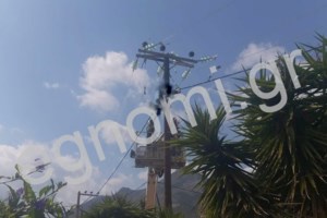 Εύβοια: Ελεύθεροι οι 3 συλληφθέντες για τον θάνατο των τριών εργατών από ηλεκτροπληξία - εικόνα 2