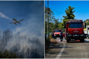 Οριοθετήθηκε η φωτιά στον Πλάτανο Αρχαίας Ολυμπίας: Ισχυρή δύναμη της Πυροσβεστικής παραμένει στο σημείο